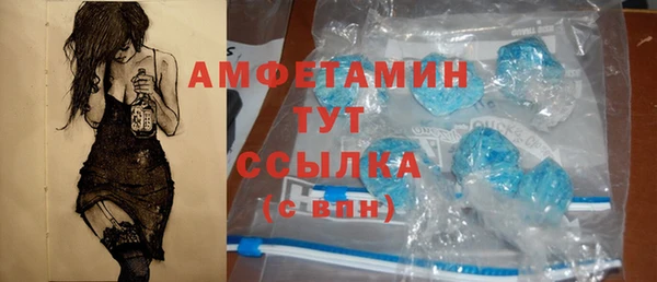 стаф Богданович
