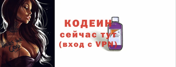 стаф Богданович