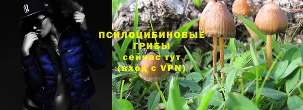 прущая мука Белоозёрский