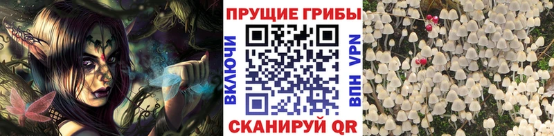 Псилоцибиновые грибы MAGIC MUSHROOMS  закладки  Борзя 